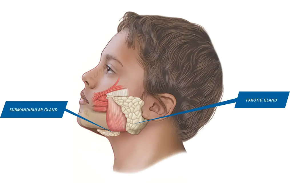 XEOMIN dosing and admin instructions for pediatric chronic sialorrhea